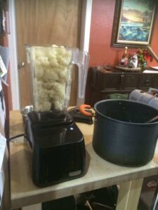 cauliflower alfredo sauce in a blender next to a pot