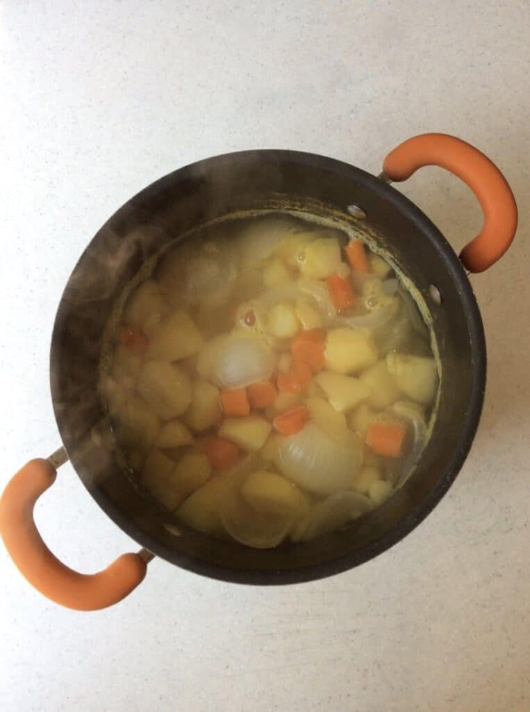 boiled potatoes, carrots, onions and garlic in stockpot full of water on counter