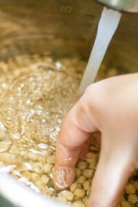 washing chickpeas inside Instant Pot insert before cooking them