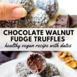 chocolate walnut fudge truffles