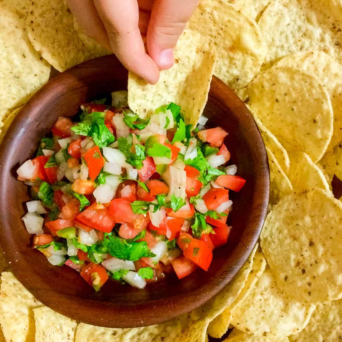 salsa in bowl with chips