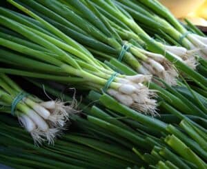 green onions