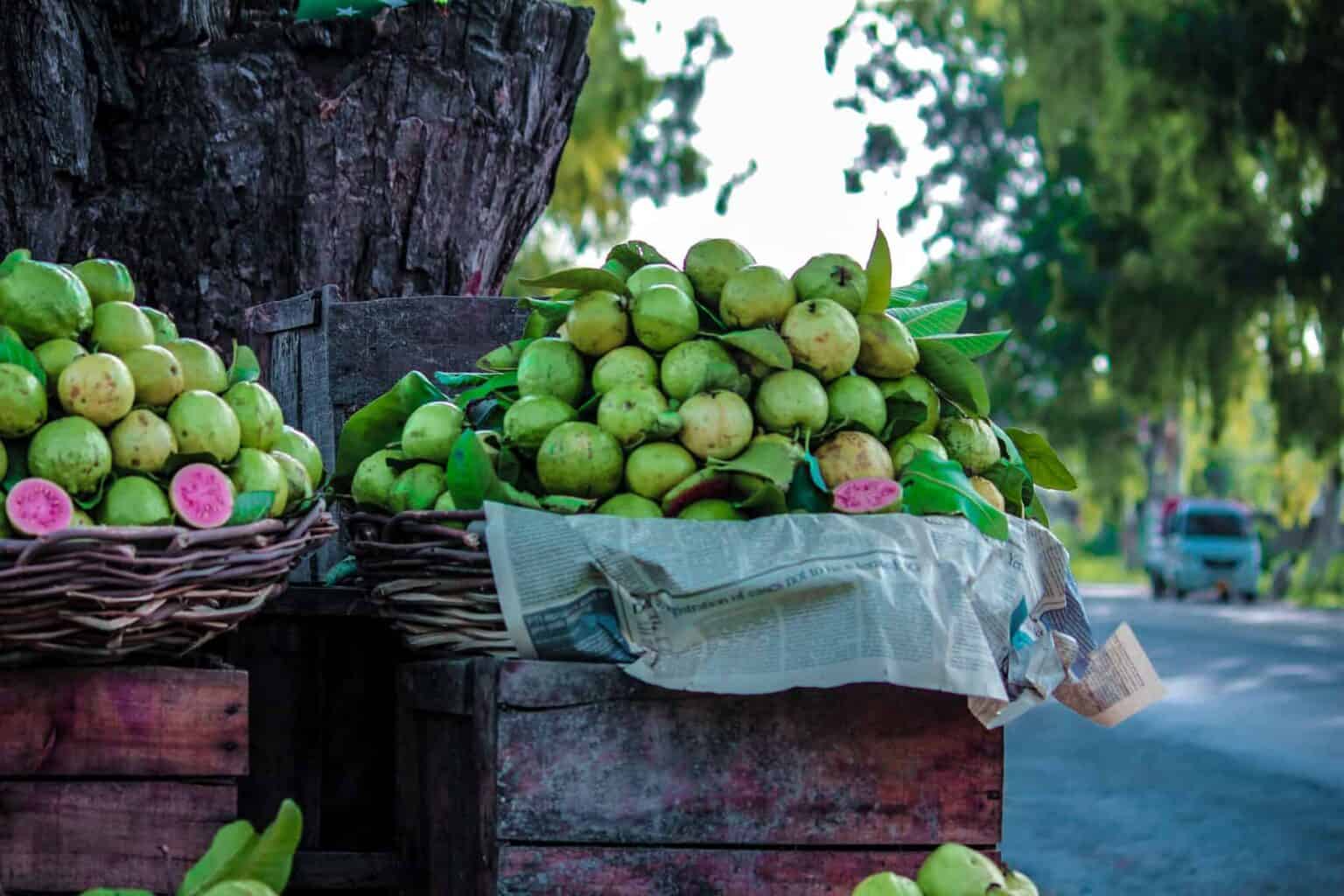 36 Pink Fruit - The Complete List from Exotic to Common with Photos ...