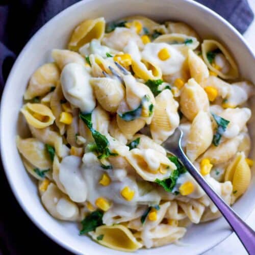 creamy shell pasta in a bowl with a fork