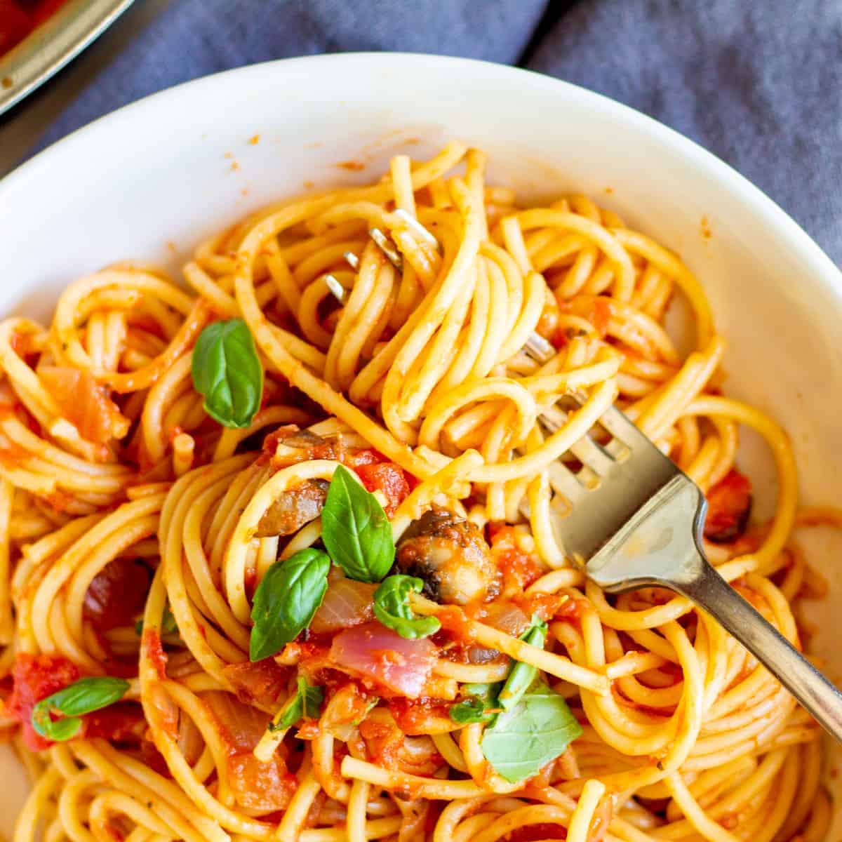 closeup of pasta in bowl