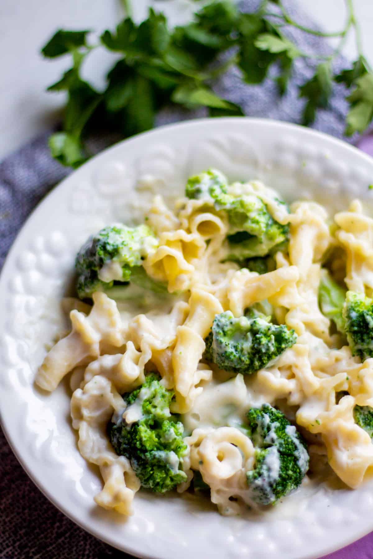 creamy pasta dish with broccoli in white bowl