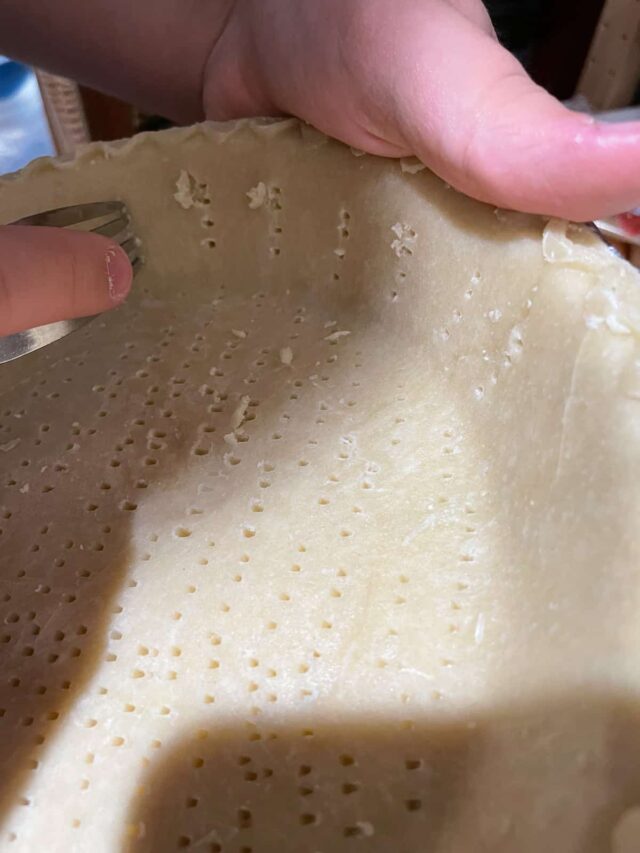 Easy Vegan Pumpkin Pie with Silken Tofu
