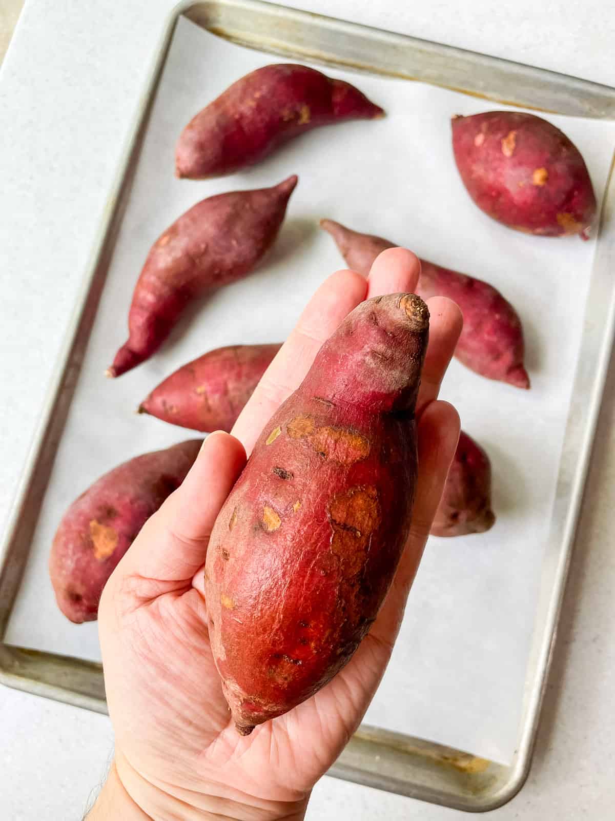 medium sweet potato in hand