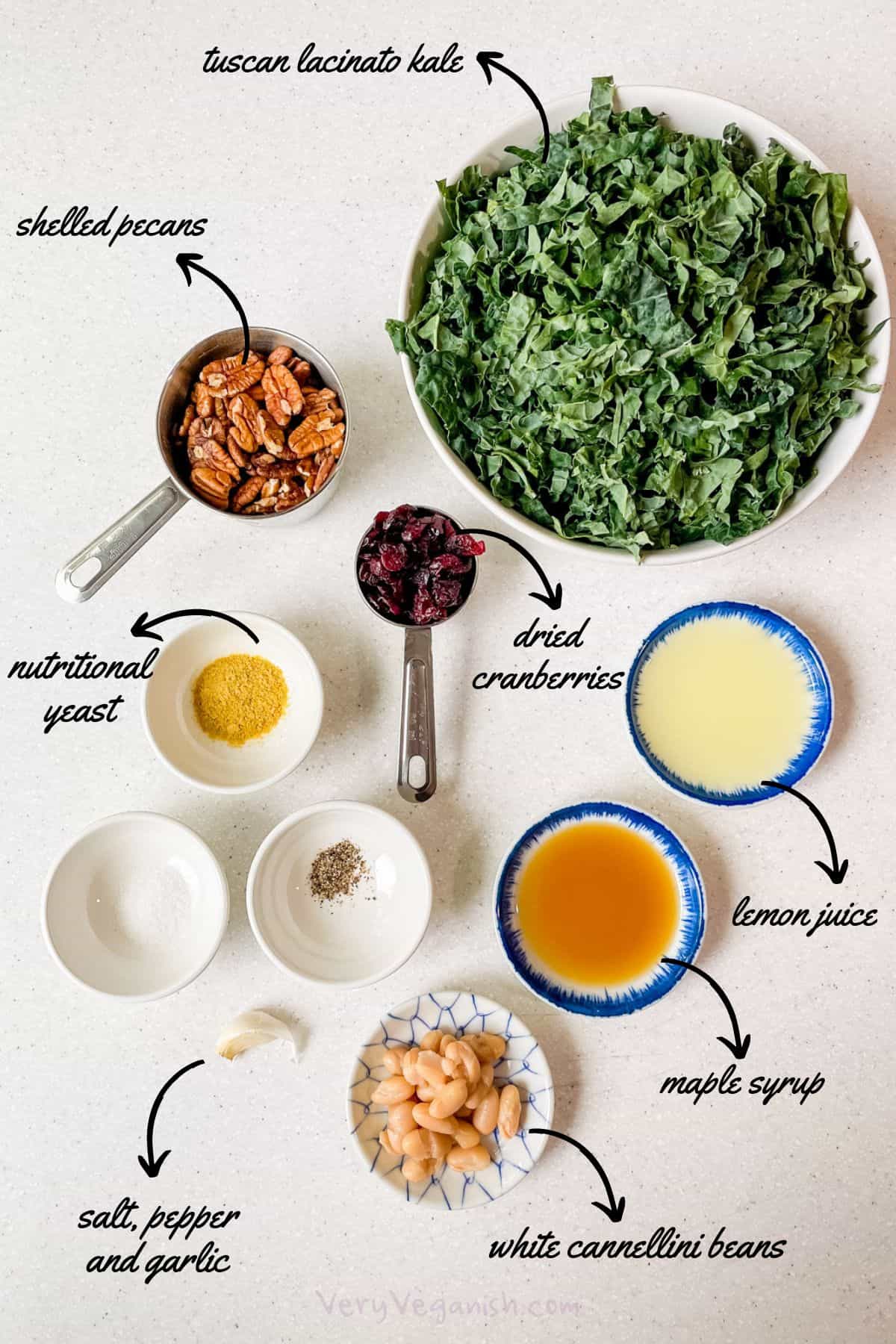 Ingredients for Kale Chopped Salad with Creamy Lemon Garlic Dressing (vegan, oil-free) - tuscan lacinato kale, shelled pecans, nutritional yeast, dried cranberries, lemon juice, maple syrup, white cannellini beans, salt, pepper, garlic
