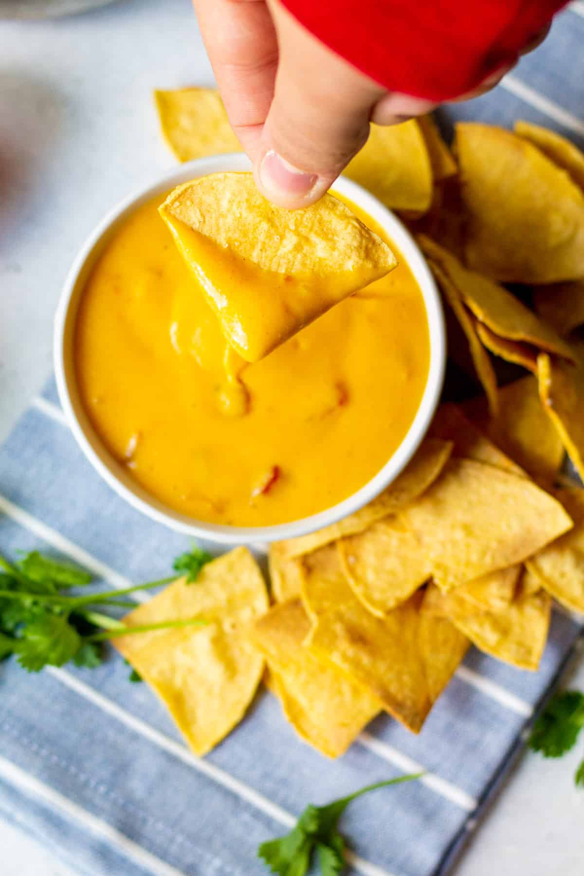 dipping a chip in a bowl of queso with chips around it and cilantro on the side