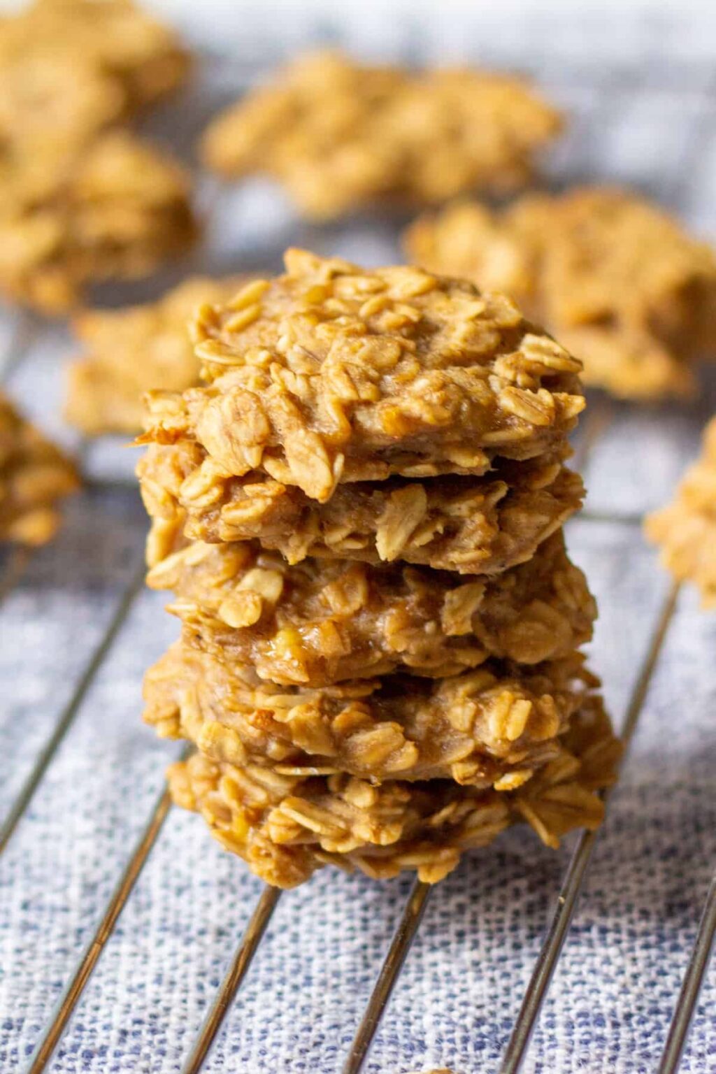 4Ingredient Banana Oatmeal Peanut Butter Cookies Very Veganish