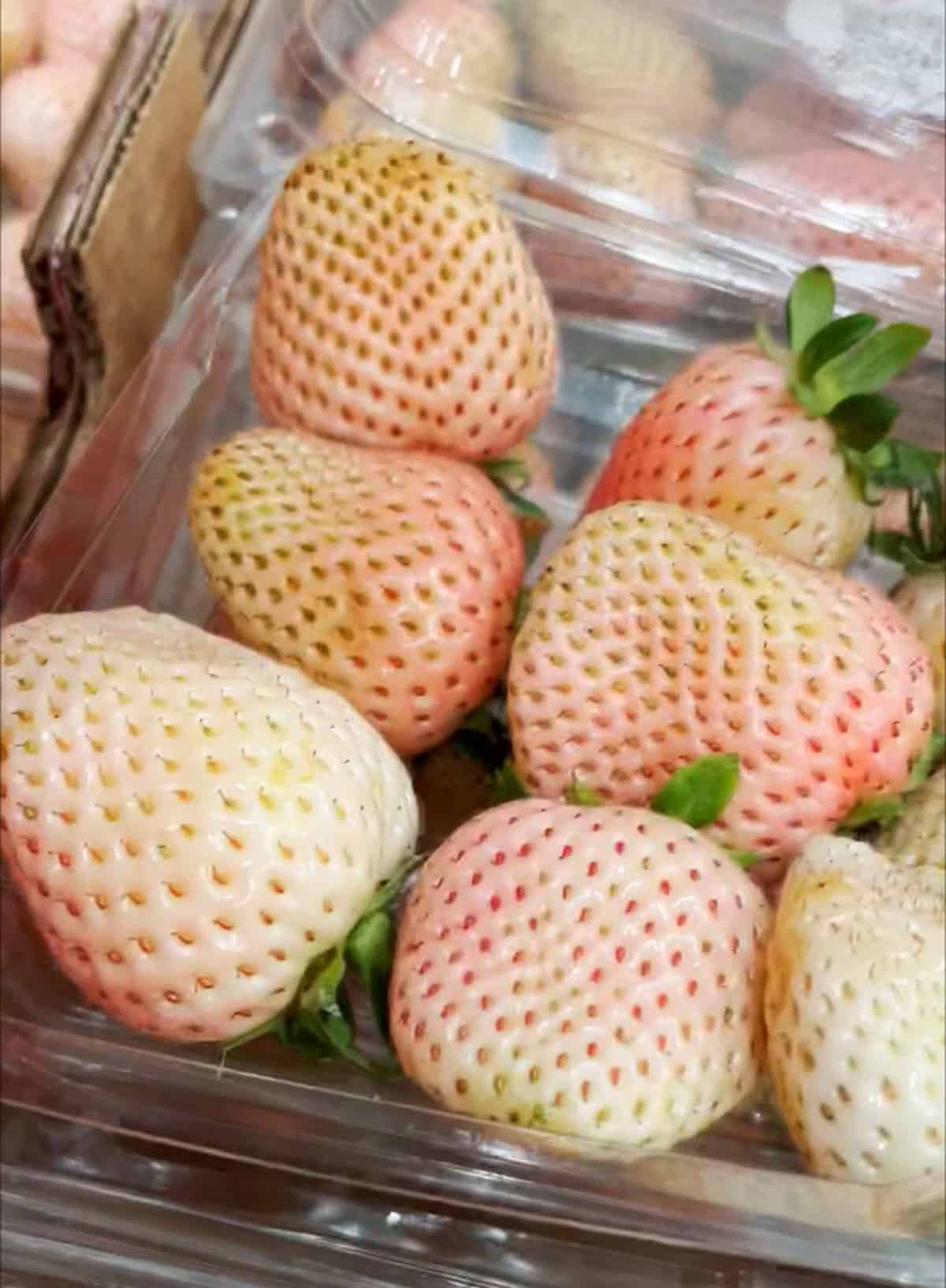 pink pineberries in box