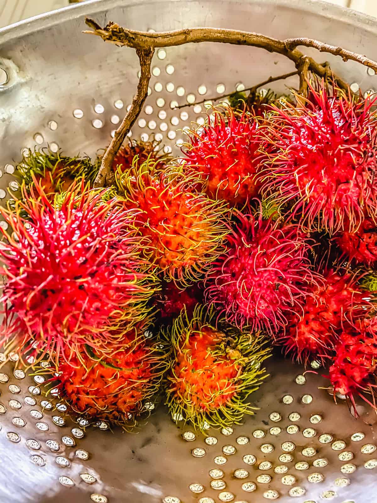 pink rambutan in colander