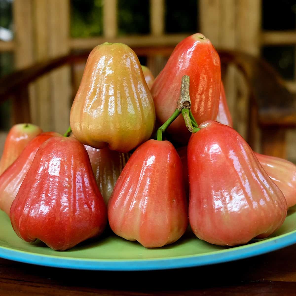 36 Pink Fruit - The Complete List from Exotic to Common with Photos - Very  Veganish