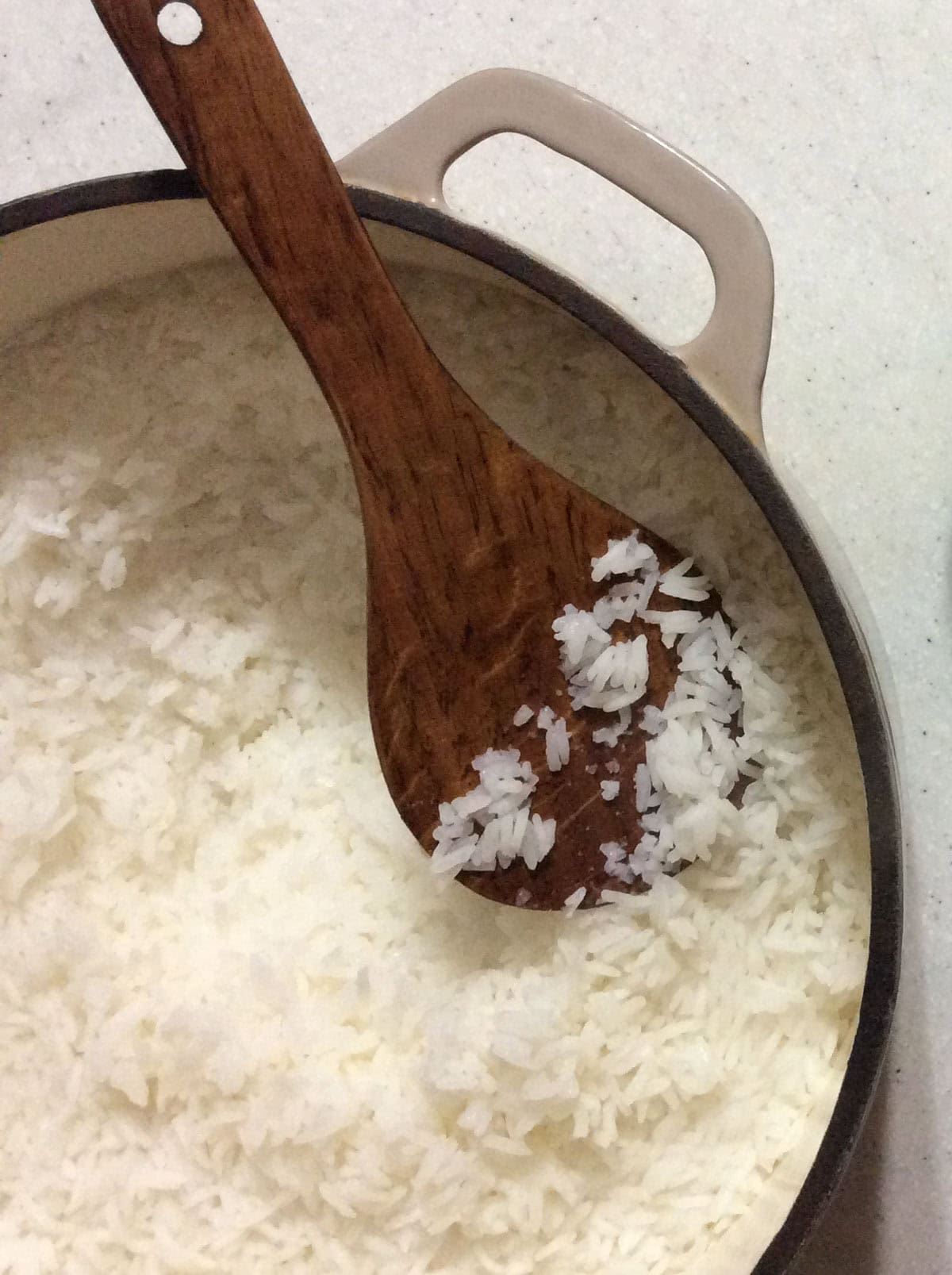 Pot of white rice, cooked in dutch oven with rice paddle resting inside