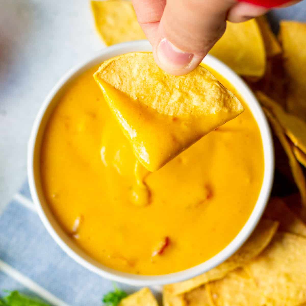 A tortilla chip dipped in thick rotel dip hovering over a bowl of queso and more tortilla chips on the side