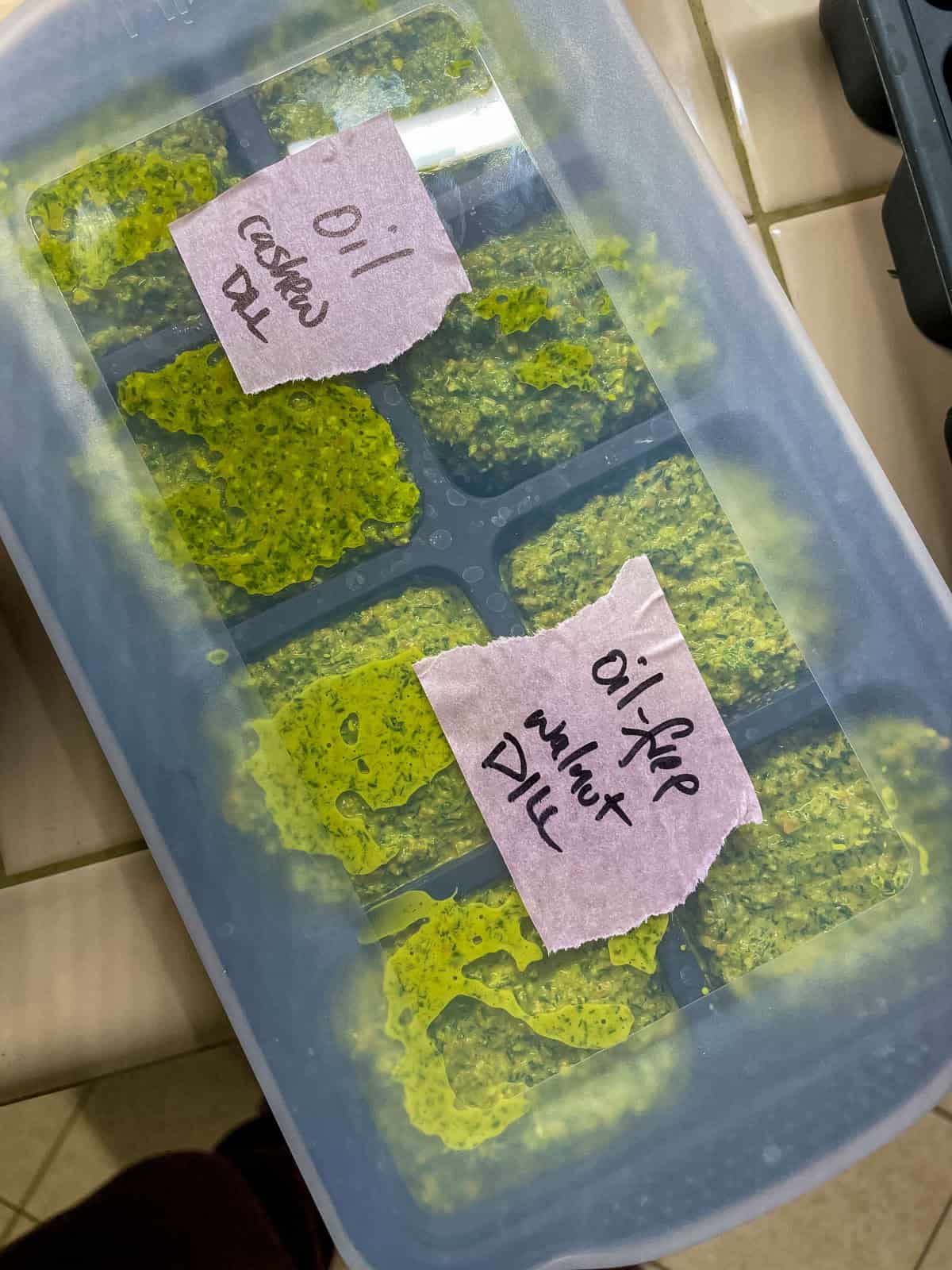Freezer cubes of dill pesto - two kinds, one with cashews and oil and the other an oil-free pesto with walnuts.