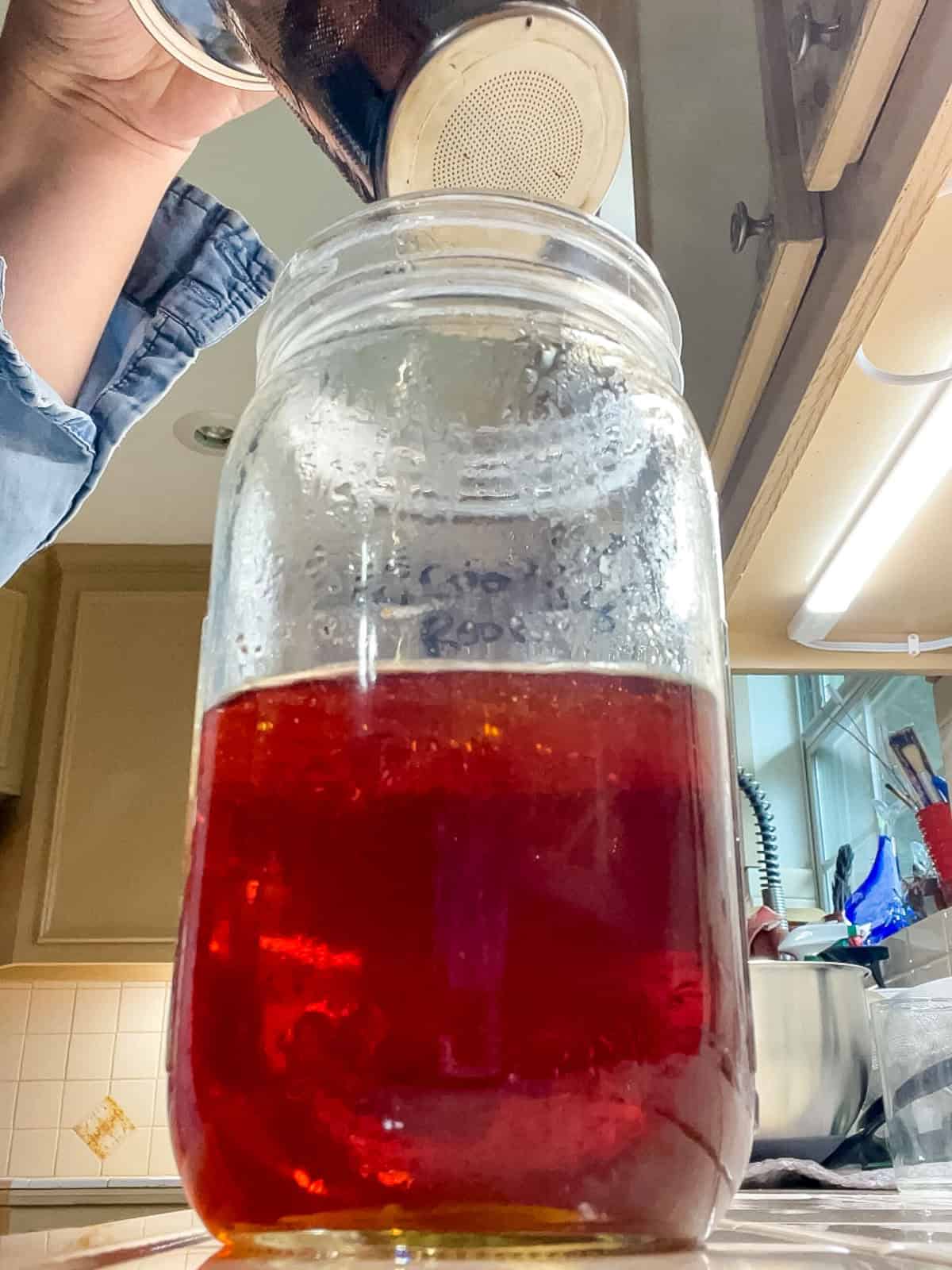 Freshly brewed loose leaf rooibos tea steeping in a mason jar before chilling for iced tea.